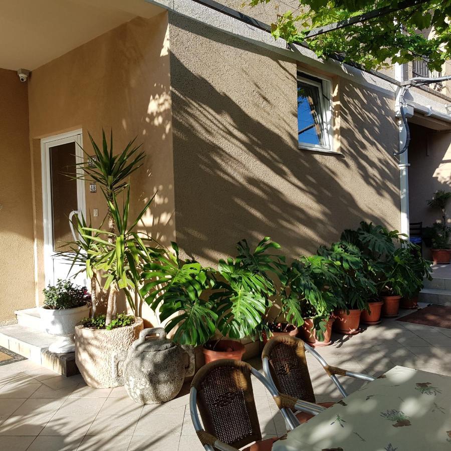 Villa Pedja Zec Exclusive 3+ Budva Eksteriør billede