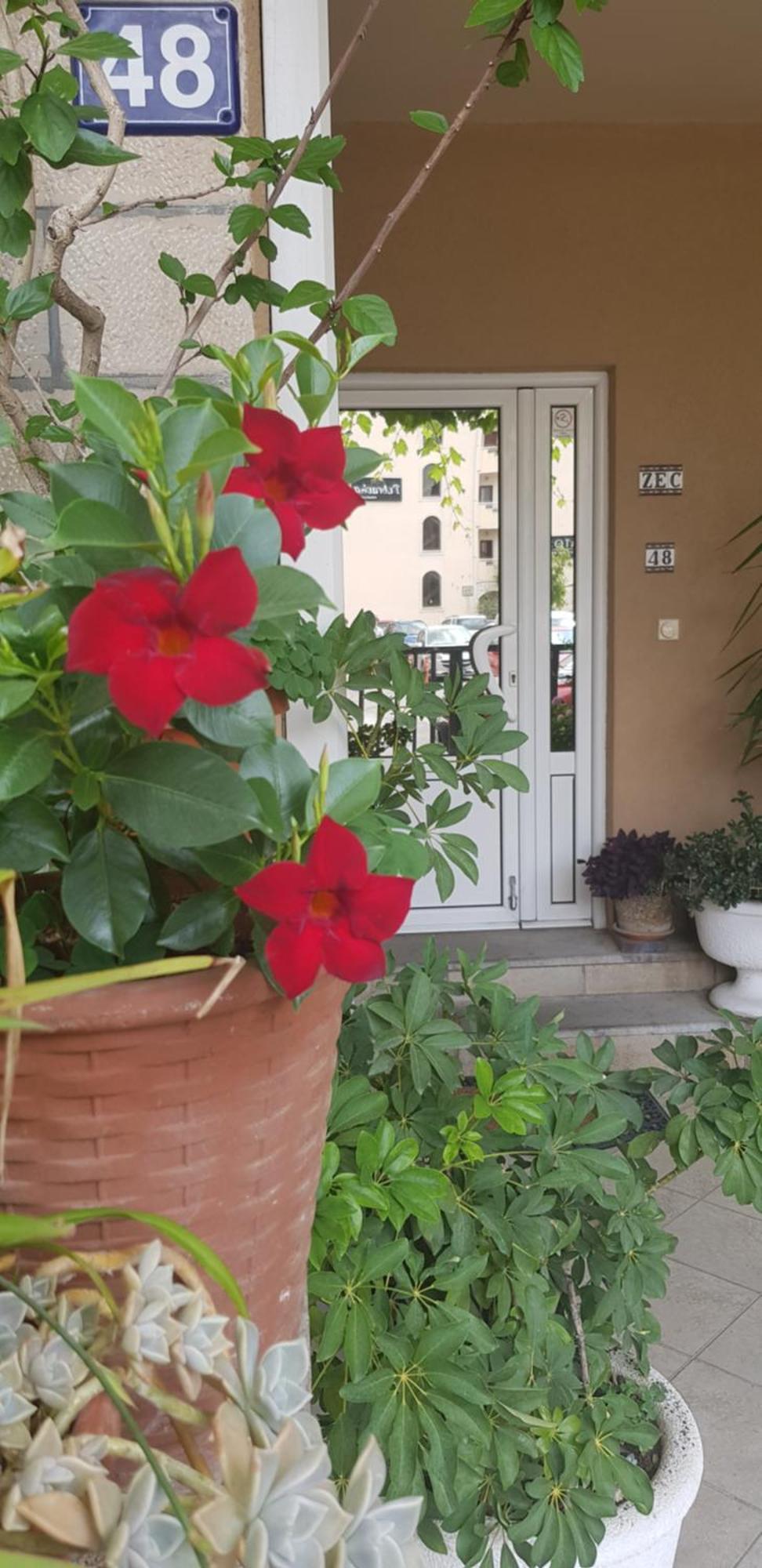 Villa Pedja Zec Exclusive 3+ Budva Eksteriør billede